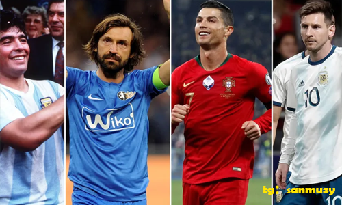 发现333体育官网